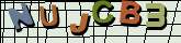 Chuck Norris has counted to infinity. Twice.
